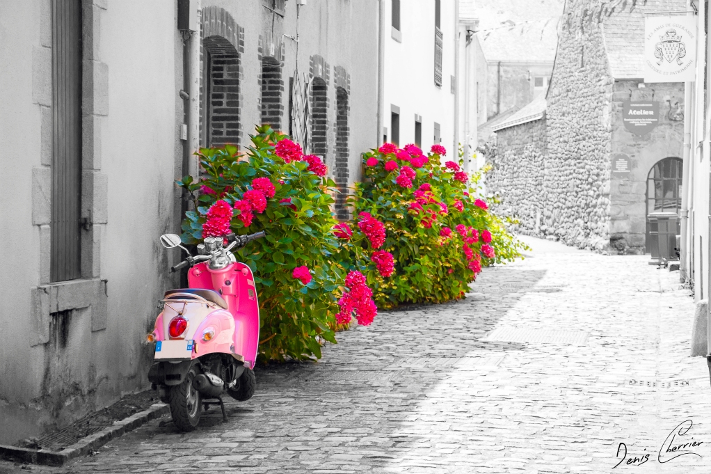 Scooter rose et hortensias rouge dans une rue