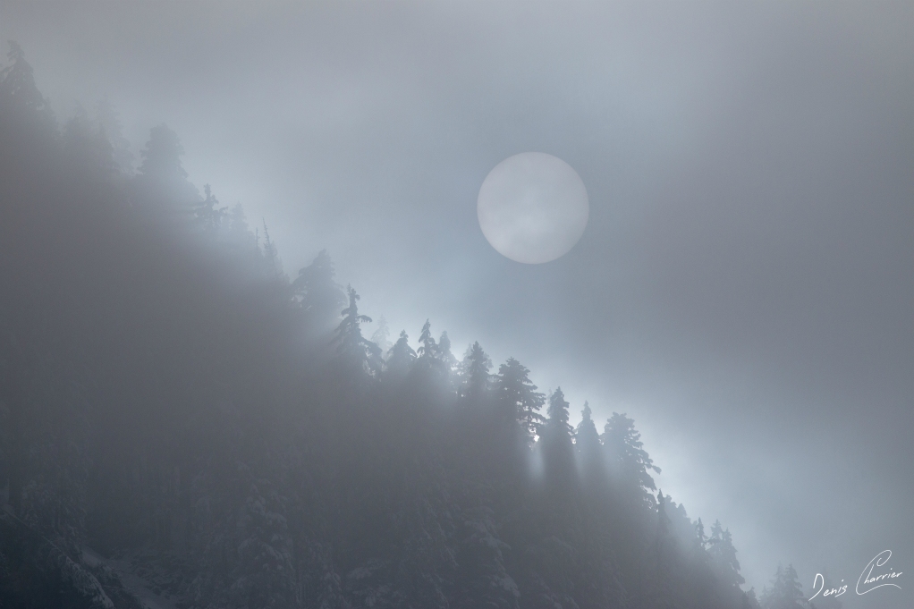 Soleil derrière la brume en montagne