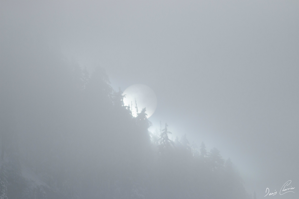 Soleil derrière la brume en montagne