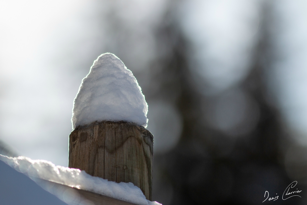 Chapeau de neige sur un piquet