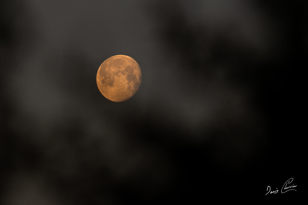 Pleine lune rousse
