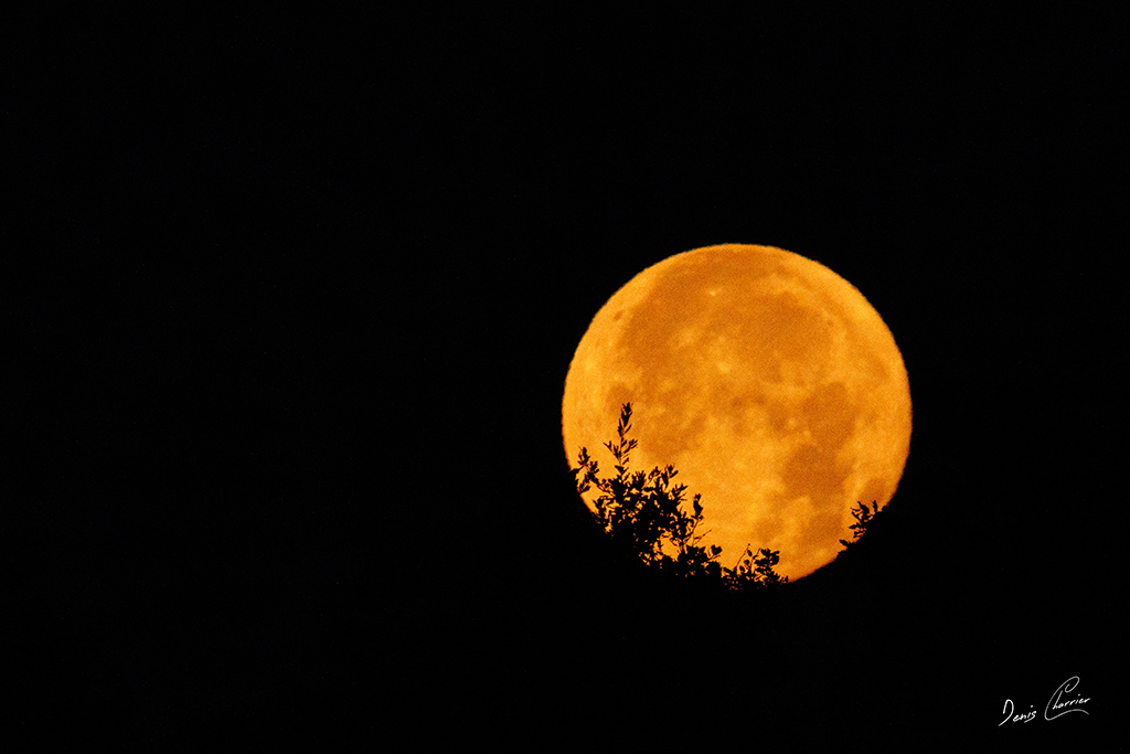 Coucher de la lune à Prunay-sur-Essonne aout 2026