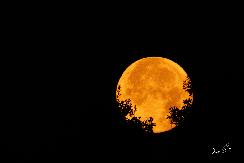 Coucher de la lune à Prunay-sur-Essonne aout 2026